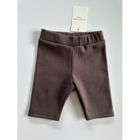 Kolarki prążkowane brąz